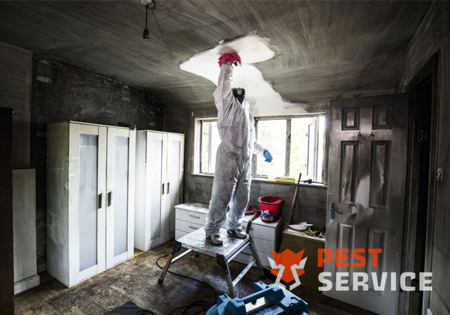 Профессиональная уборка помещений после пожара в Камышине от 2500 руб: удаление сажи, копоти и запаха гари, глубокая очистка поверхностей и восстановление чистоты. Быстро, безопасно и эффективно.